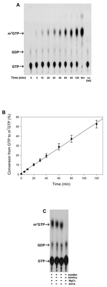 FIG. 8.