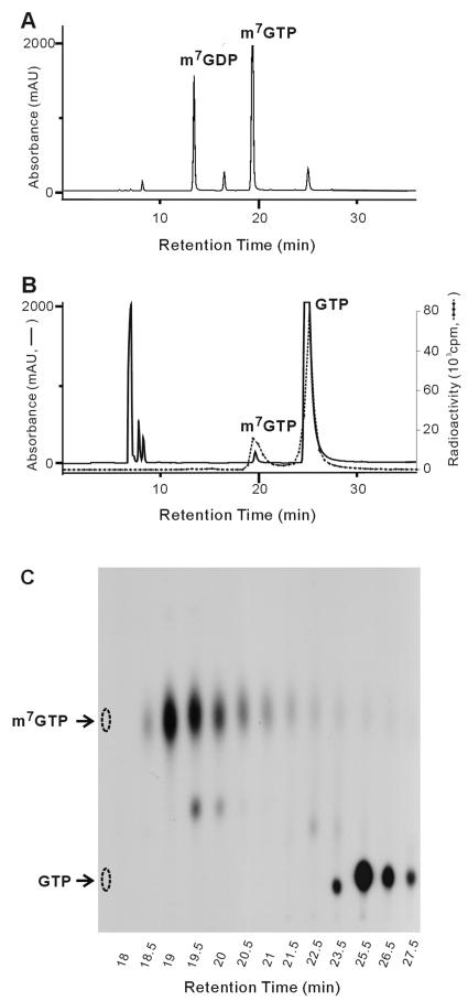 FIG. 9.