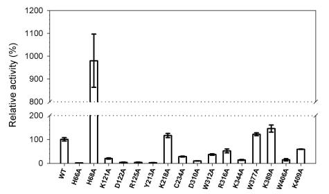 FIG. 5.