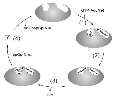 FIG. 12.