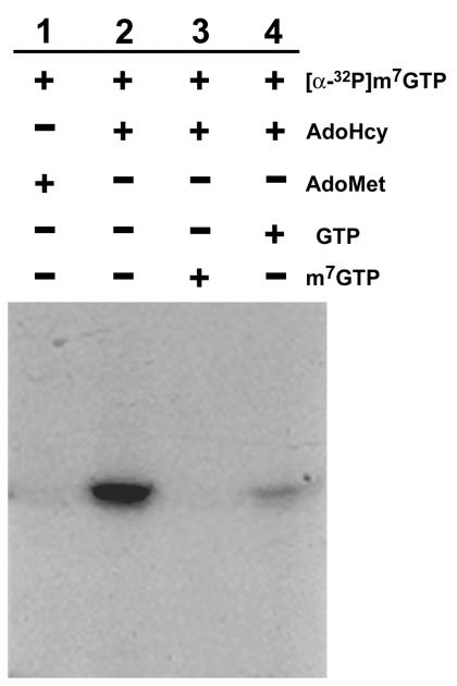 FIG. 10.