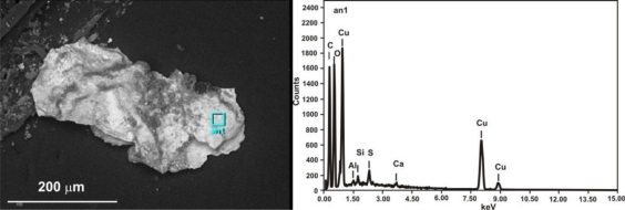 Figure 23.