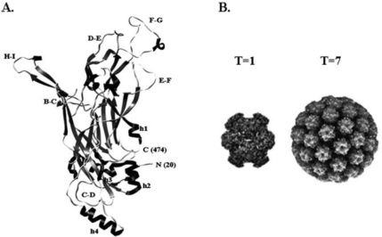 Figure 4.