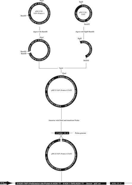 Extended Data Figure 1