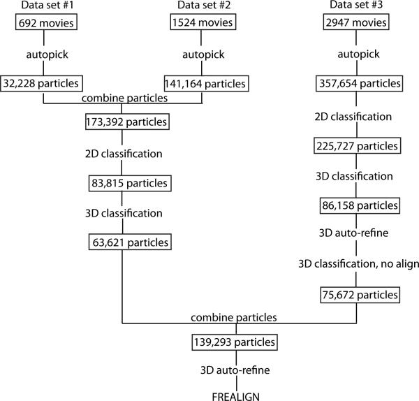 Extended Data Figure 2