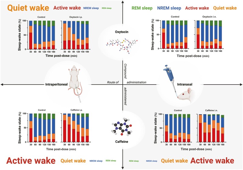 Graphical Abstract
