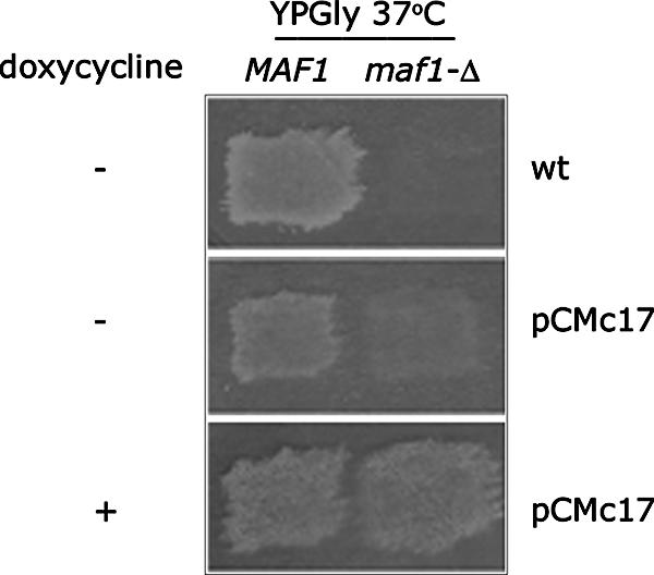 FIG. 8.