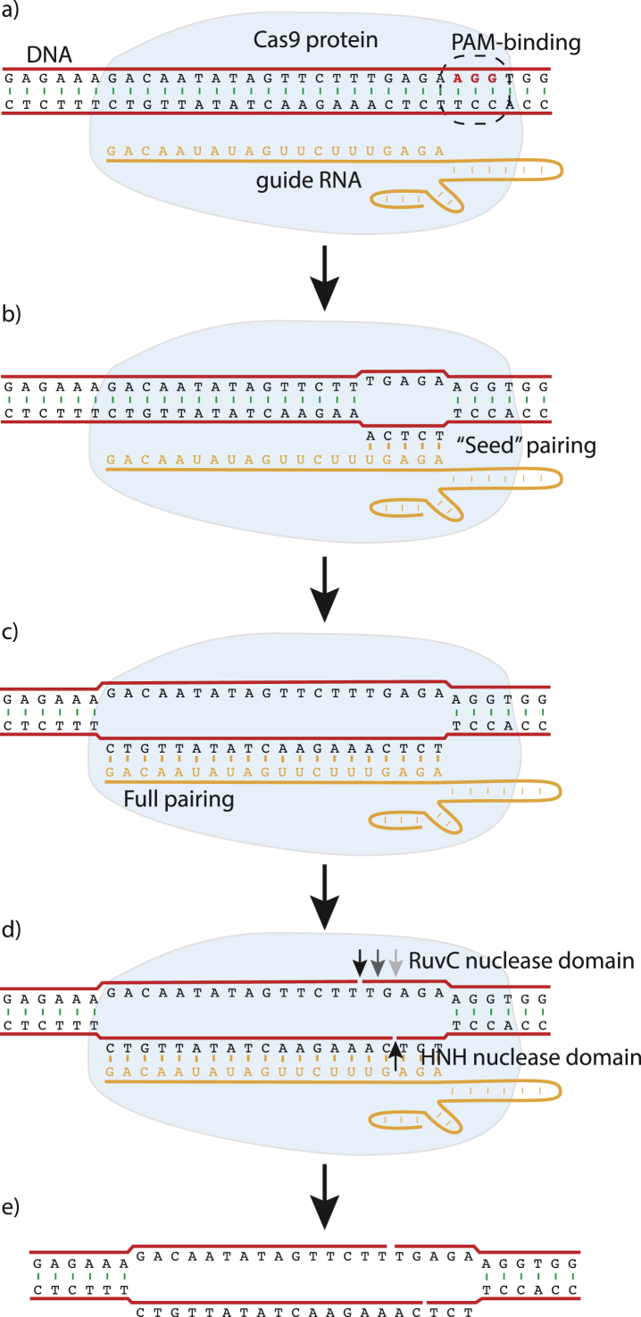 Figure 2