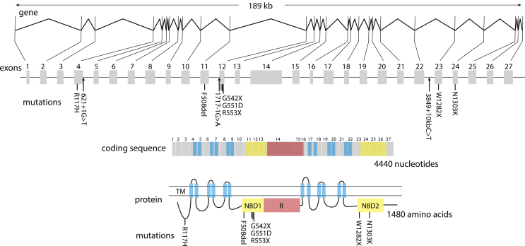 Figure 1