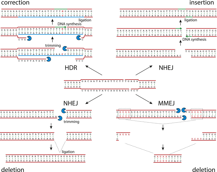 Figure 3