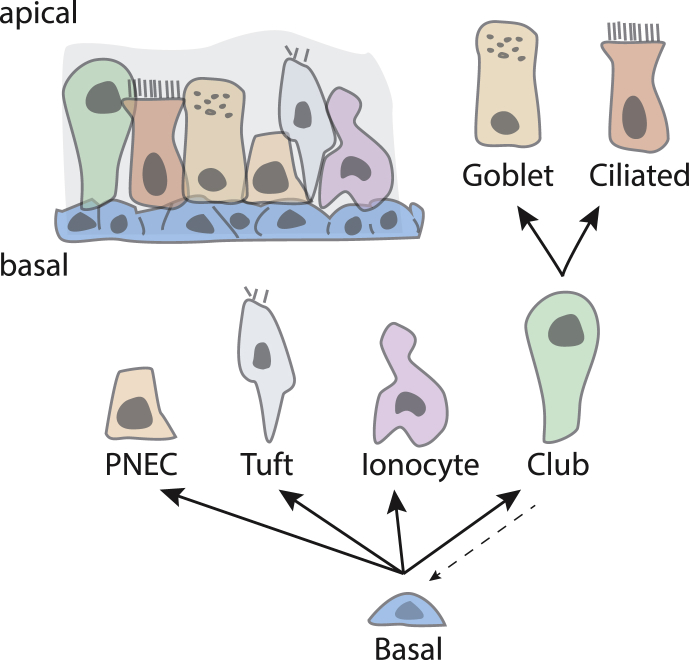 Figure 5