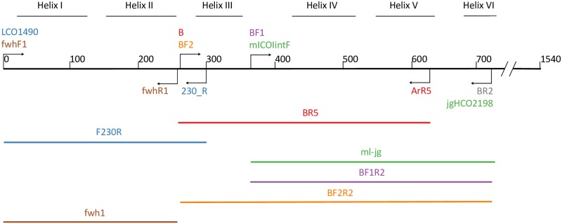 Fig 1