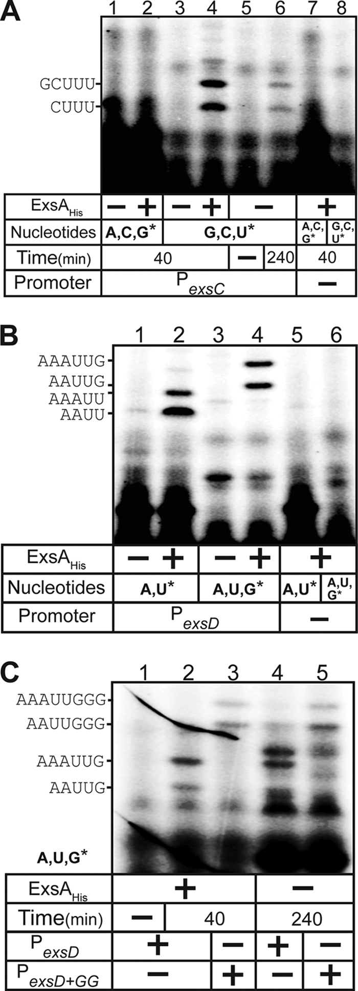 FIG. 5.