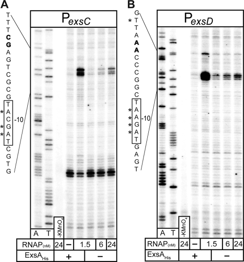 FIG. 6.