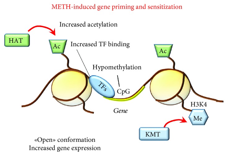 Figure 13