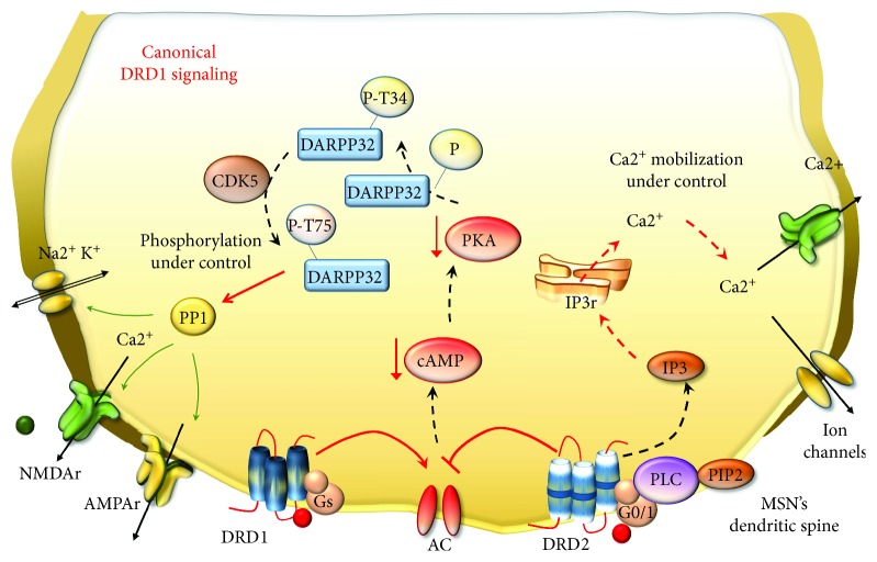 Figure 7