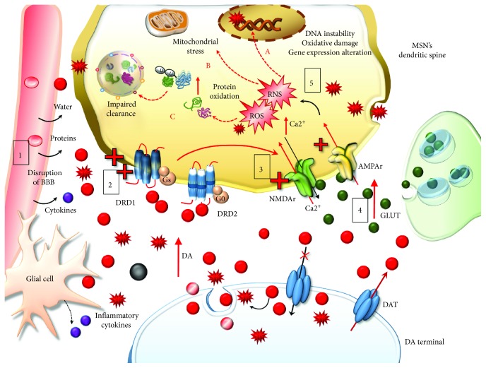 Figure 6