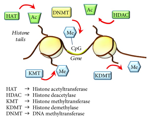 Figure 11