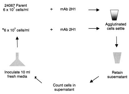 FIG. 1