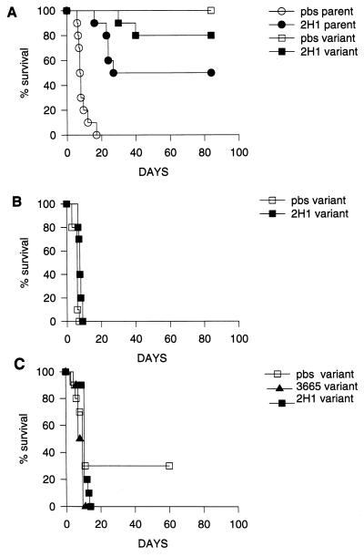 FIG. 8