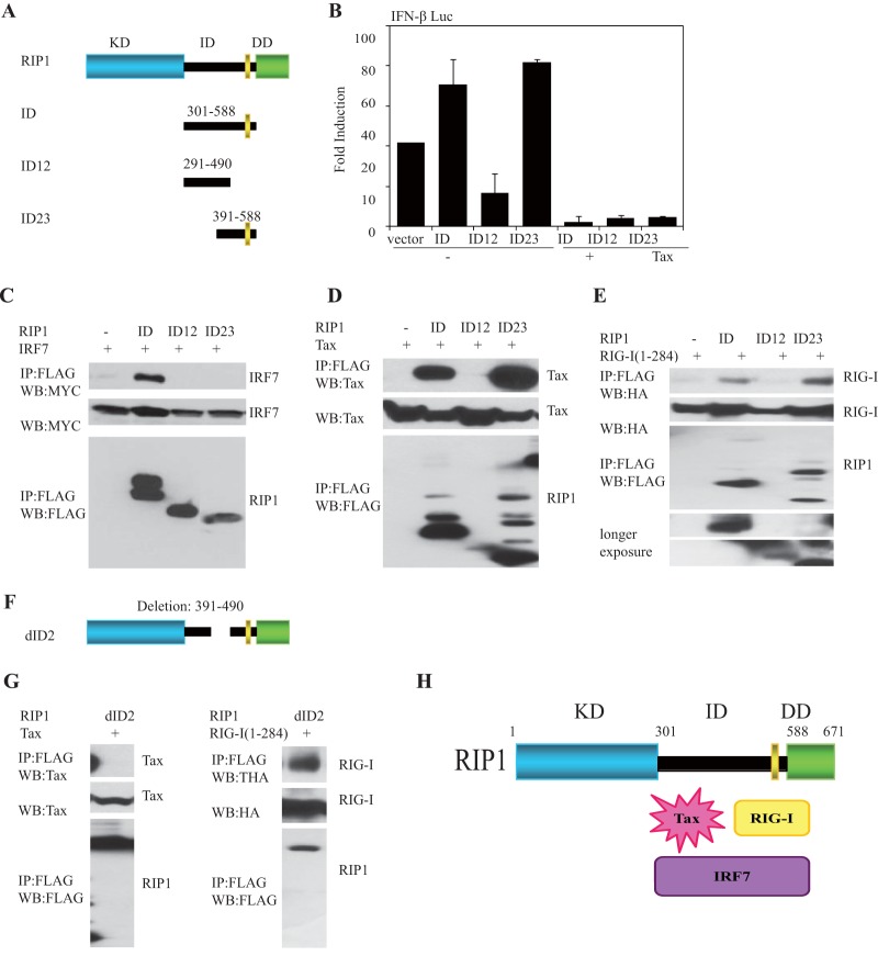 FIG 6