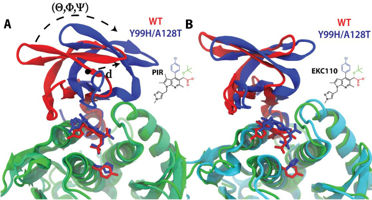 Two ribbon diagrams show structural overlays comparing the structures of WT IN and mutant IN, highlighting their binding to PIR and a structural shift, emphasizing differences in protein-ligand interactions.