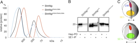 FIGURE 9.