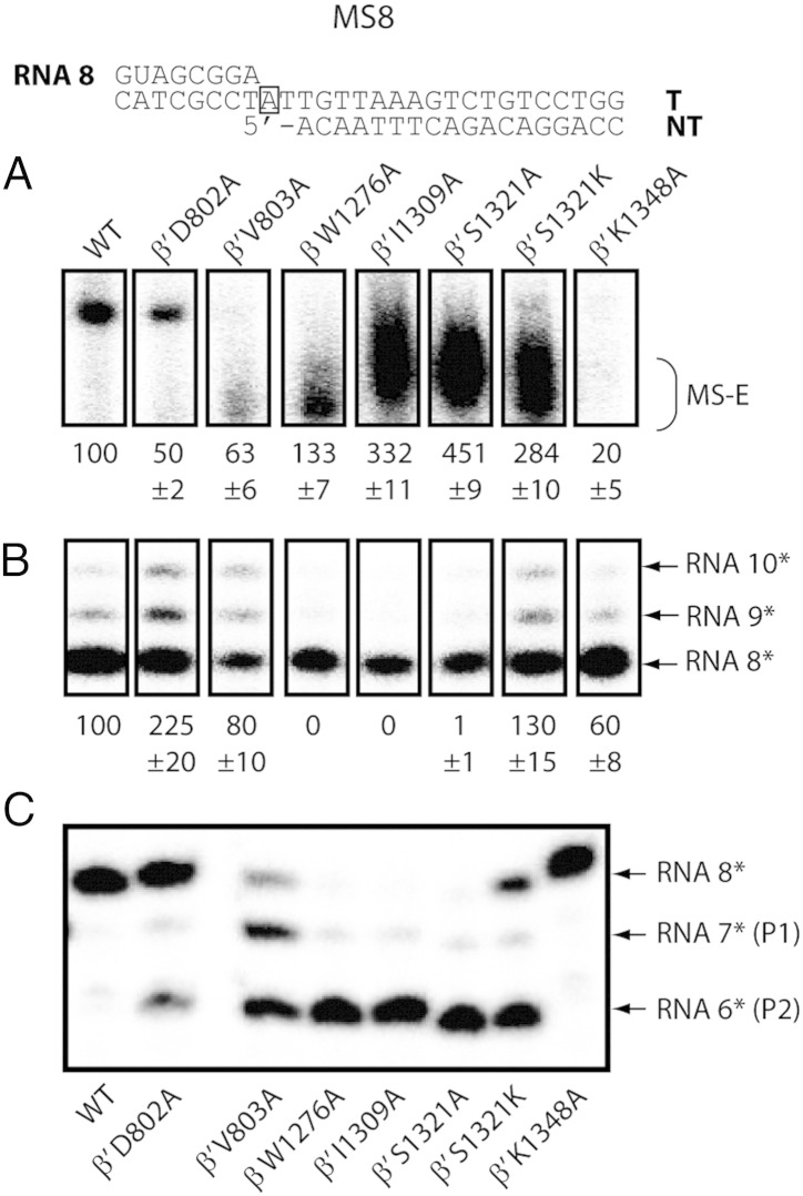 Fig. 5