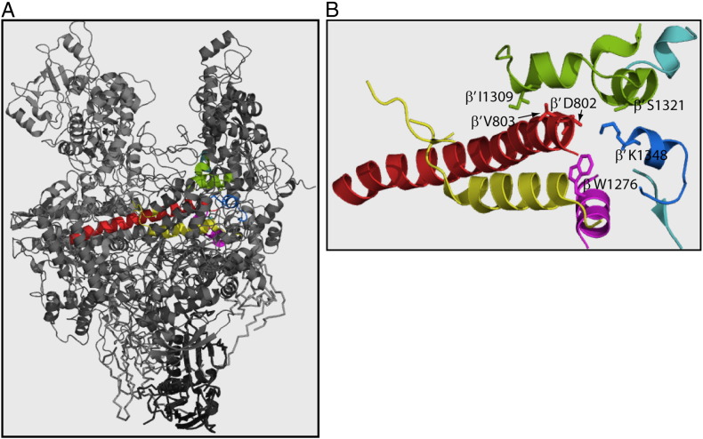 Fig. 1