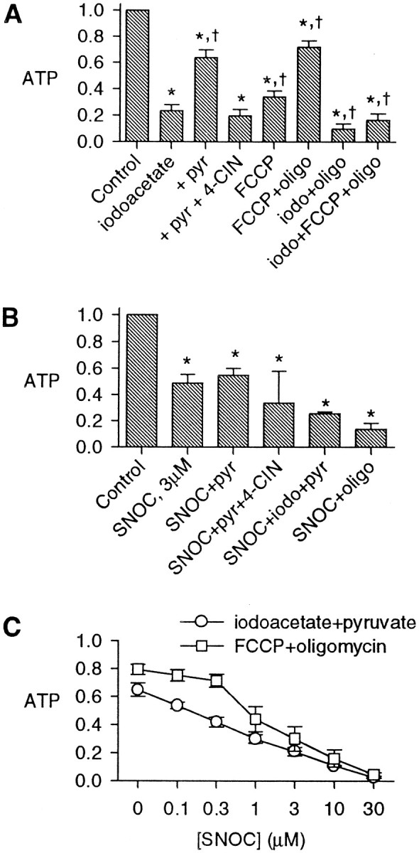 Fig. 8.