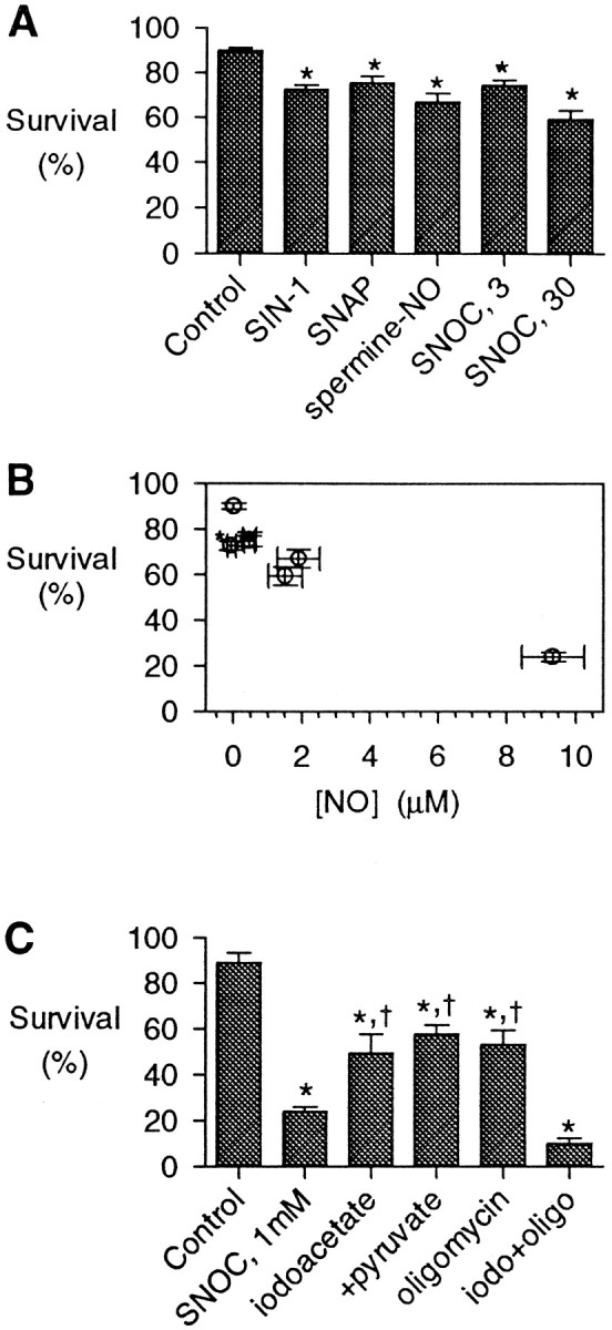 Fig. 9.