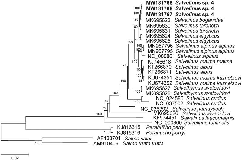 Figure 1.