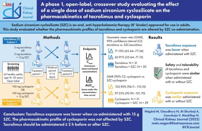 Graphical Abstract