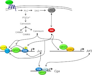 Fig. 8.