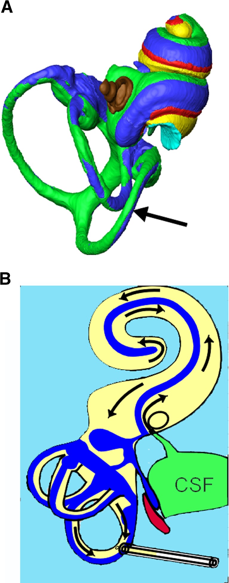 FIG. 1