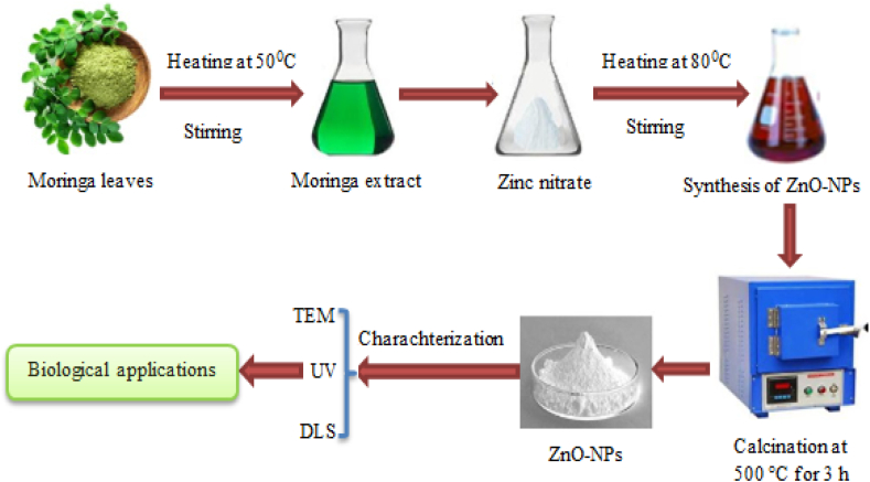 Fig. 1