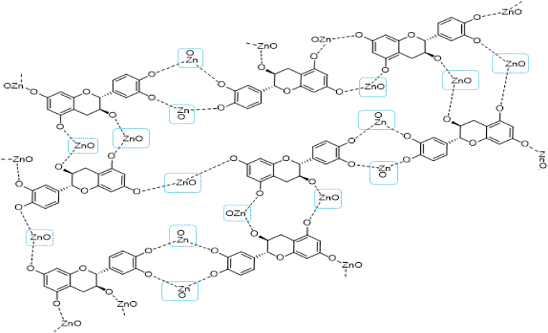 Fig. 10