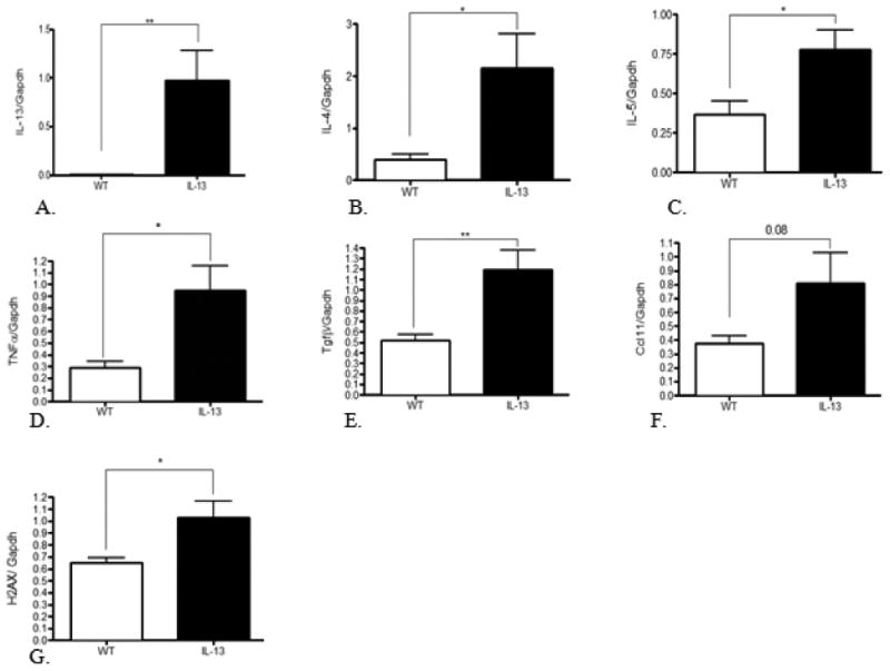 Fig.4