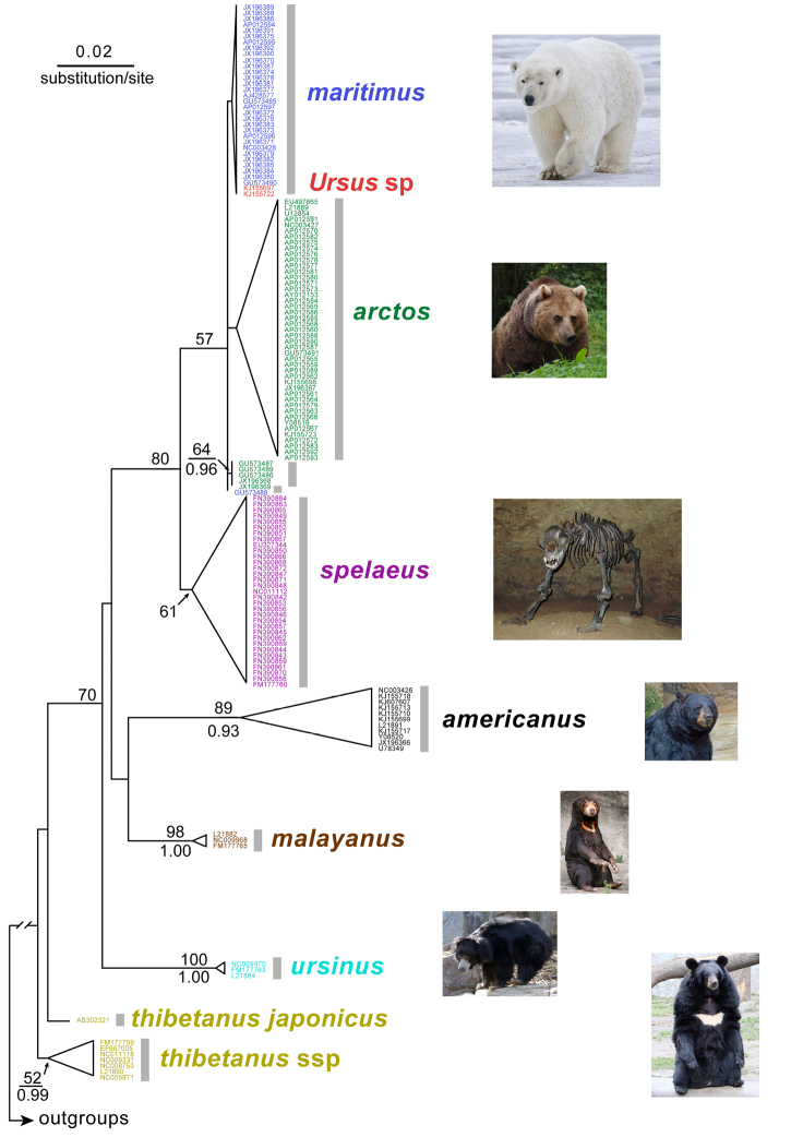 Figure 1.