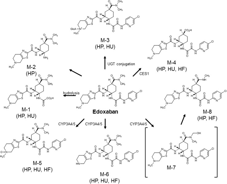 Fig. 4