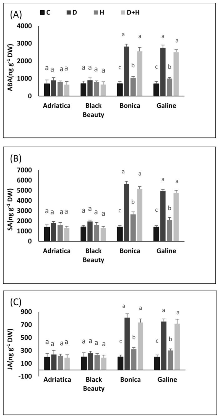 Figure 7