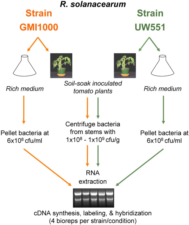 FIG 1 