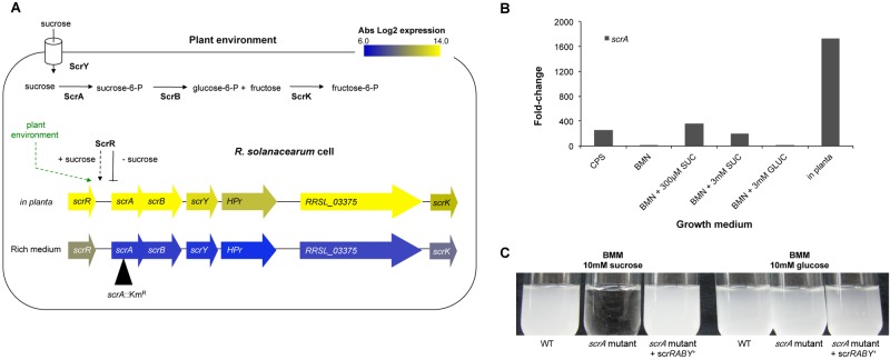 FIG 3 