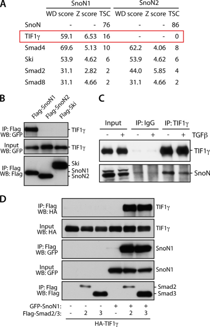 FIGURE 1.