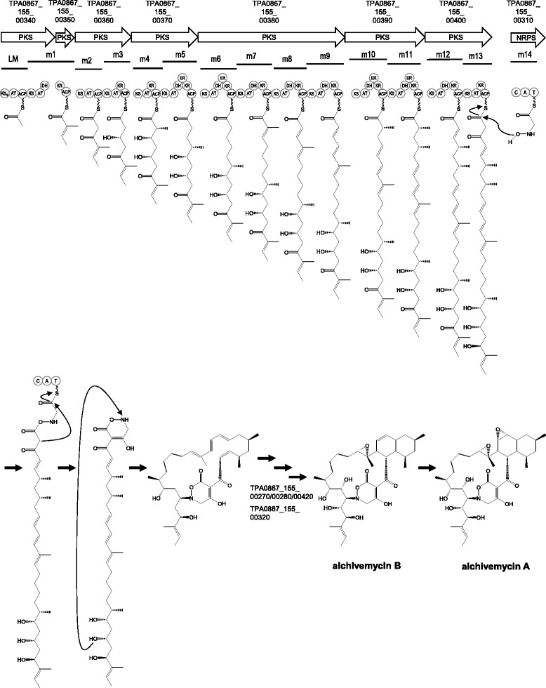 Fig. 4