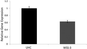 Figure 3