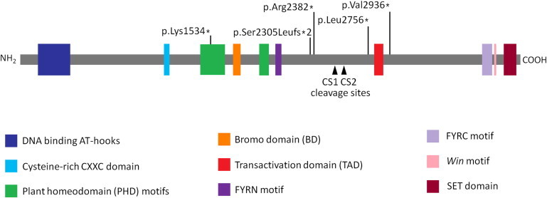 Figure 2