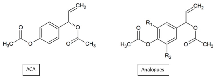 Figure 24