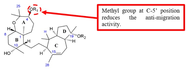 Figure 17