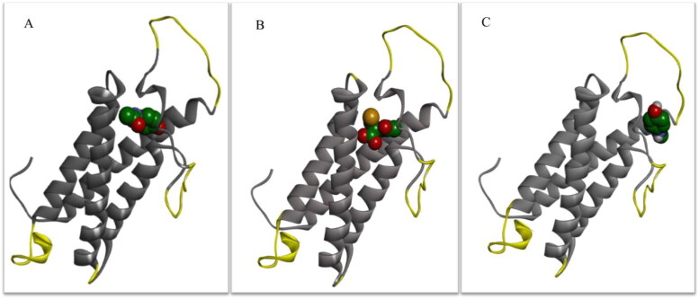 Figure 6.